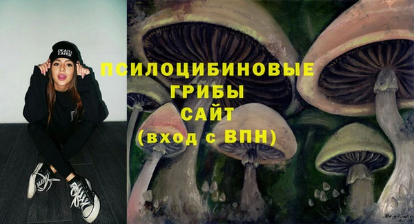 сатива Армянск