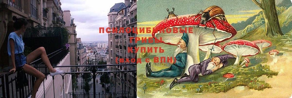 прущие крисы Арсеньев