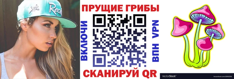 Псилоцибиновые грибы мицелий  закладки  Волжск 